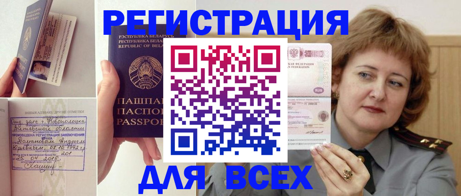 временная регистрация надежно в Камчатской области